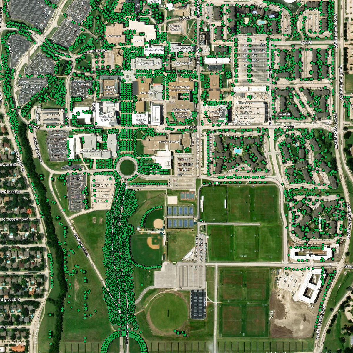 Tree Inventory and Viewer